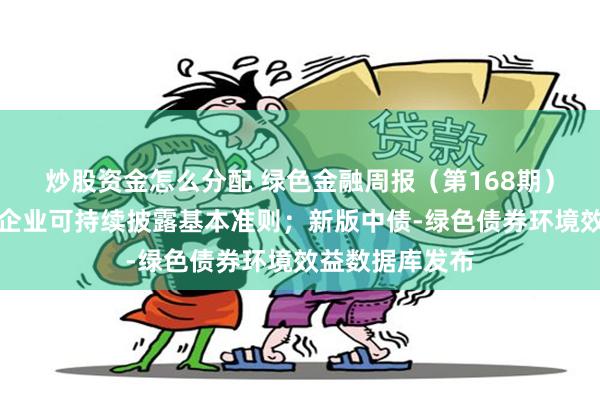 炒股资金怎么分配 绿色金融周报（第168期）丨九部门发布企业可持续披露基本准则；新版中债-绿色债券环境效益数据库发布