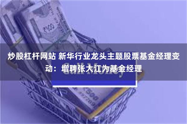 炒股杠杆网站 新华行业龙头主题股票基金经理变动：增聘张大江为基金经理