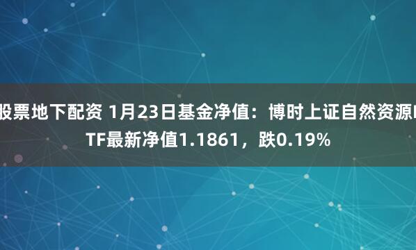 股票地下配资 1月23日基金净值：博时上证自然资源ETF最新净值1.1861，跌0.19%