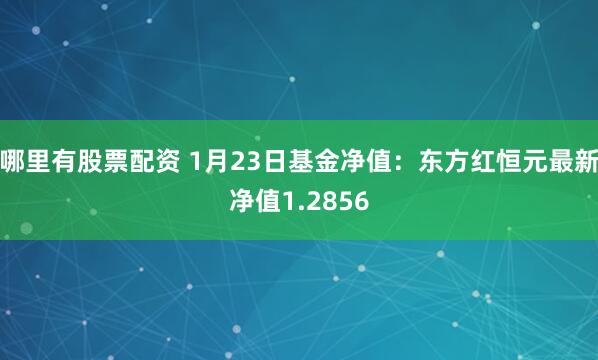 哪里有股票配资 1月23日基金净值：东方红恒元最新净值1.2856