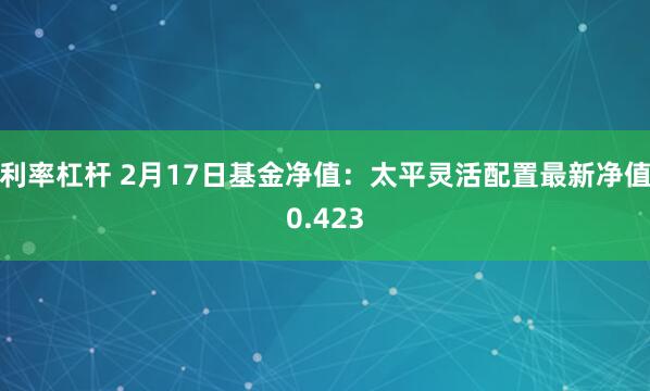 利率杠杆 2月17日基金净值：太平灵活配置最新净值0.423