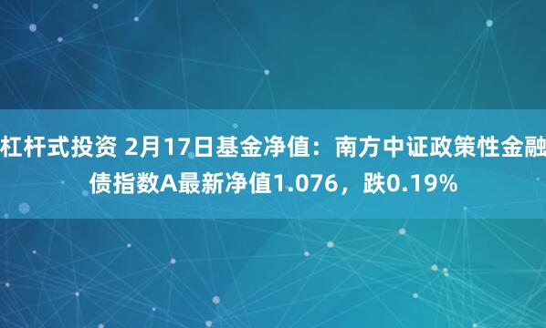 杠杆式投资 2月17日基金净值：南方中证政策性金融债指数A最新净值1.076，跌0.19%