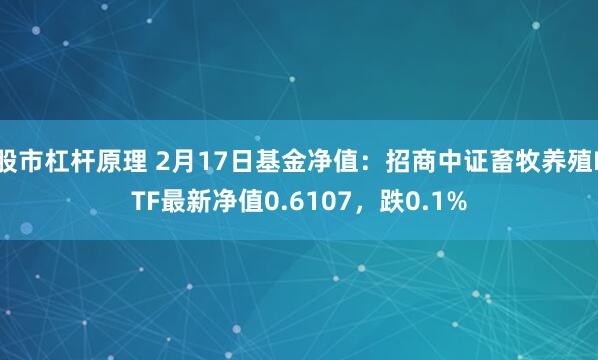 股市杠杆原理 2月17日基金净值：招商中证畜牧养殖ETF最新净值0.6107，跌0.1%