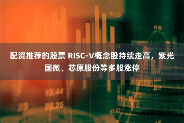 配资推荐的股票 RISC-V概念股持续走高，紫光国微、芯原股份等多股涨停