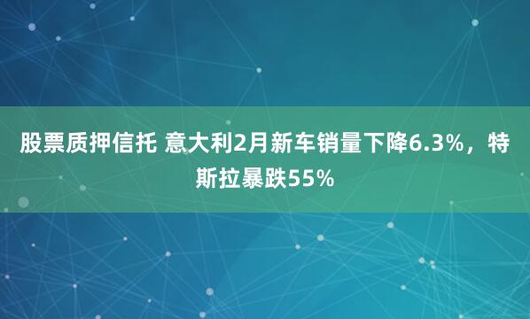 股票质押信托 意大利2月新车销量下降6.3%，特斯拉暴跌55%