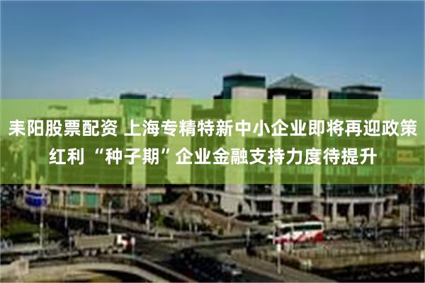 耒阳股票配资 上海专精特新中小企业即将再迎政策红利 “种子期”企业金融支持力度待提升