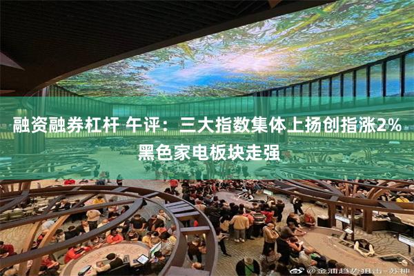 融资融券杠杆 午评：三大指数集体上扬创指涨2% 黑色家电板块走强